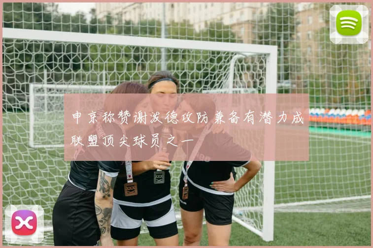 申京称赞谢泼德攻防兼备有潜力成联盟顶尖球员之一