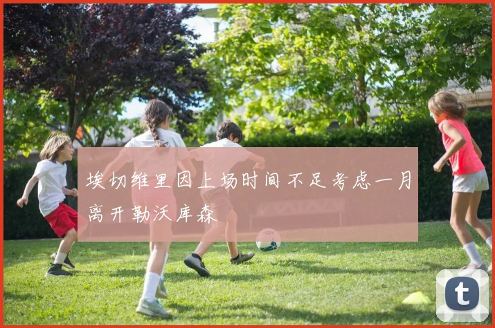 埃切维里因上场时间不足考虑一月离开勒沃库森